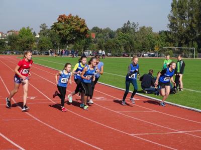 Foto des Albums: KM Mehrkampf Prenzlau