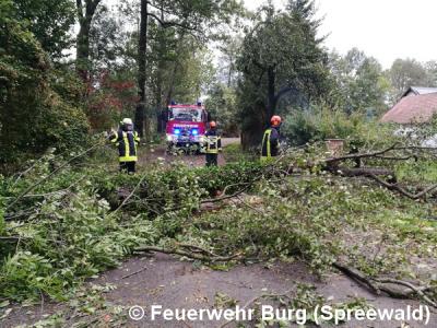 Foto des Albums: Dauereinsatz wegen Sturmtief Xavier