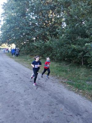 Foto des Albums: Ueckermünder Herbstcross