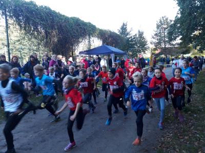 Foto des Albums: Ueckermünder Herbstcross