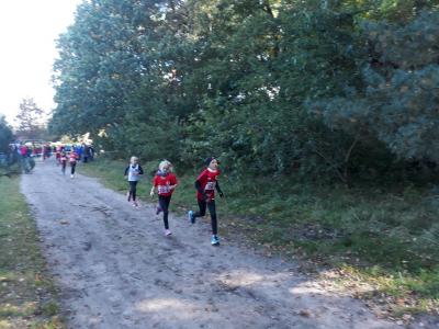 Foto des Albums: Ueckermünder Herbstcross