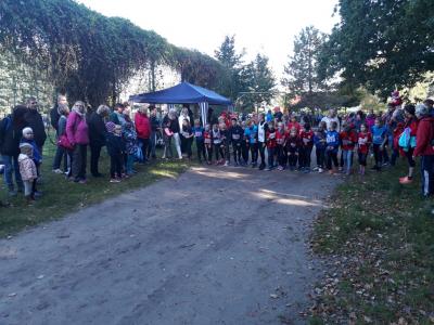 Foto des Albums: Ueckermünder Herbstcross