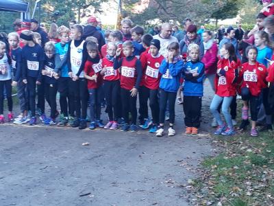 Foto des Albums: Ueckermünder Herbstcross