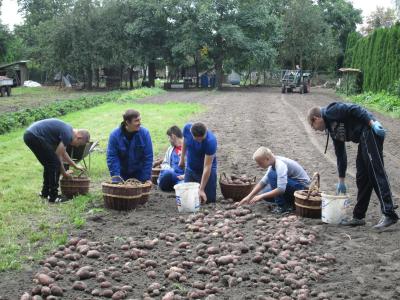 Foto des Albums: Kartoffelernte !