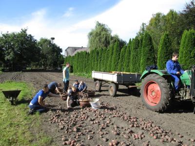 Foto des Albums: Kartoffelernte !