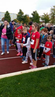 Foto des Albums: Schwedter Herbstlauf