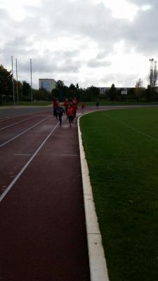 Foto des Albums: Schwedter Herbstlauf