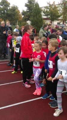 Foto des Albums: Schwedter Herbstlauf