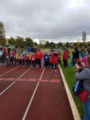 Foto des Albums: Schwedter Herbstlauf