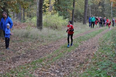 Foto des Albums: Karpiner Herbstcross