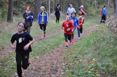 Foto des Albums: Karpiner Herbstcross