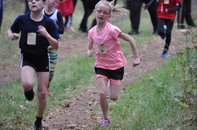 Foto des Albums: Karpiner Herbstcross
