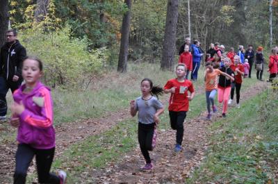 Foto des Albums: Karpiner Herbstcross