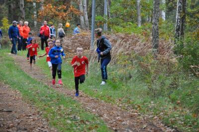 Foto des Albums: Karpiner Herbstcross