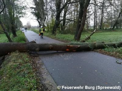 Foto des Albums: Dauereinsatz wegen Sturmtief Herwart