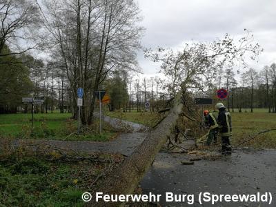 Foto des Albums: Dauereinsatz wegen Sturmtief Herwart