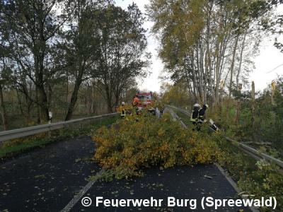 Foto des Albums: Dauereinsatz wegen Sturmtief Herwart