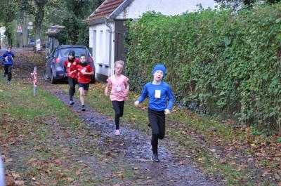 Foto des Albums: Anklamer Herbstcross, 29.10.2017 (31.​10.​2017)