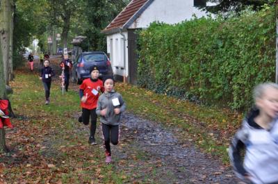 Foto des Albums: Anklamer Herbstcross, 29.10.2017 (31.​10.​2017)