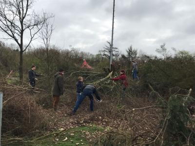 Foto des Albums: Arbeitseinsatz auf dem Sportplatz am 08.04.2017