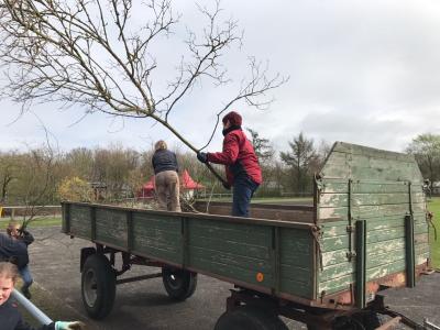 Foto des Albums: Arbeitseinsatz auf dem Sportplatz am 08.04.2017