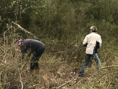 Foto des Albums: Arbeitseinsatz auf dem Sportplatz am 08.04.2017