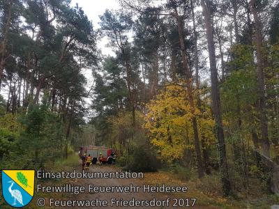 Vorschaubild: Einsatz 138-140/2017 | 3 Einsätze durch Herbststurm Herwart