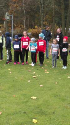 Foto des Albums: Cross - KM Angermünde