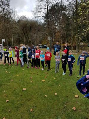 Foto des Albums: Cross - KM Angermünde