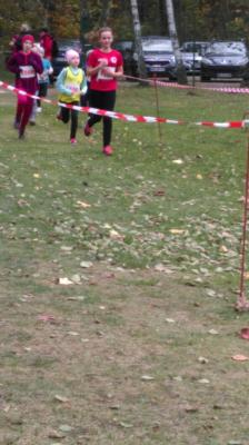 Foto des Albums: Cross - KM Angermünde