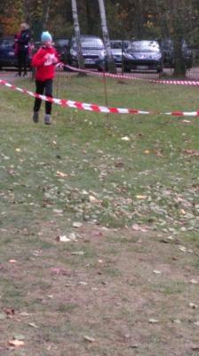 Foto des Albums: Cross - KM Angermünde