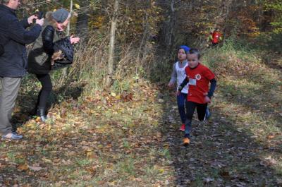 Foto des Albums: Torgelower Crosslauf