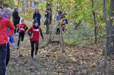Foto des Albums: Torgelower Crosslauf