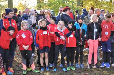 Foto des Albums: Torgelower Crosslauf