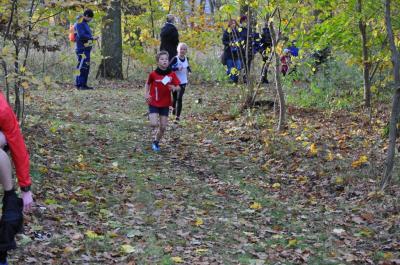 Foto des Albums: Torgelower Crosslauf