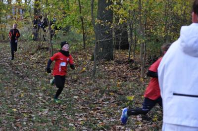 Foto des Albums: Torgelower Crosslauf