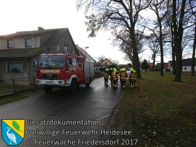 Vorschaubild: Einsatz 143/2017 | Ast droht zu fallen | Friedersdorf Wilhelmstraße
