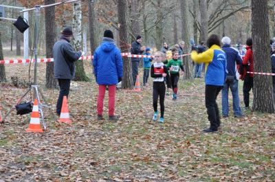 Foto des Albums: LM Cross Ludwigsfelde