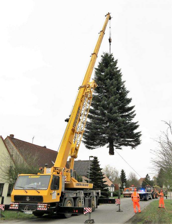 Gemeinde Wusterhausen Dosse Weihnachtsbaum Aufstellen 2017