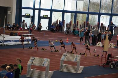 Foto des Albums: Schüler - Hallensportfest Neubrandenburg