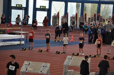 Foto des Albums: Schüler - Hallensportfest Neubrandenburg