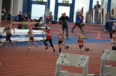Foto des Albums: Schüler - Hallensportfest Neubrandenburg