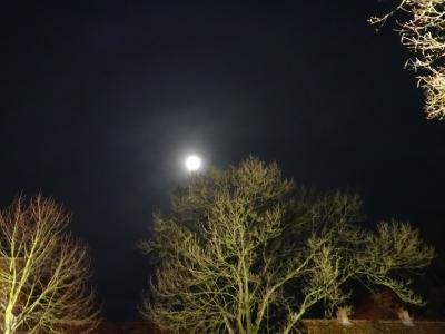Foto des Albums: Silvester-Open-Air auf dem Burghof-Gelände mit grandiosem Höhenfeuerwerk