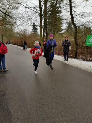 Foto des Albums: Torgelower Waldlauf (24.​01.​2018)