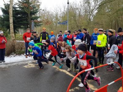 Foto des Albums: Torgelower Waldlauf