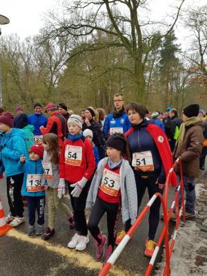 Foto des Albums: Torgelower Waldlauf