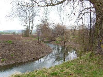 Foto des Albums: Angelgewässer die von unseren Verein betreut werden