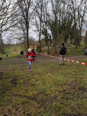 Foto des Albums: UDG-Cup-Lauf Jamikow