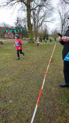 Foto des Albums: UDG-Cup-Lauf Jamikow