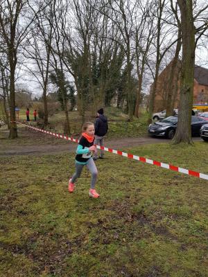 Foto des Albums: UDG-Cup-Lauf Jamikow